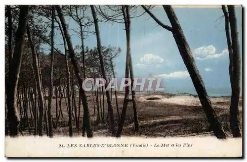 Cartes postales Les sables d Olonne la mer et les pins