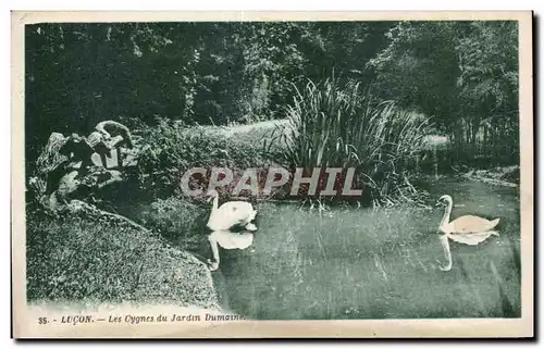 Ansichtskarte AK Lucon Les Cygnes Jardin Dumaine