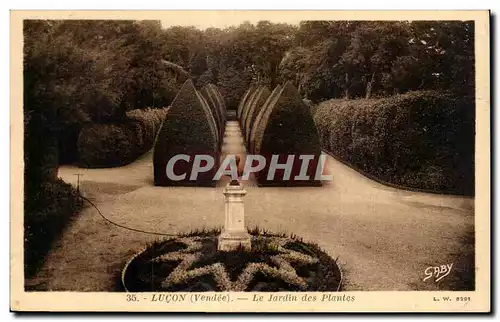 Cartes postales Lucon le jardin des plantes