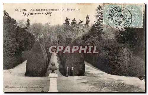 Cartes postales Lucon au jardin dumaine allee des ifs