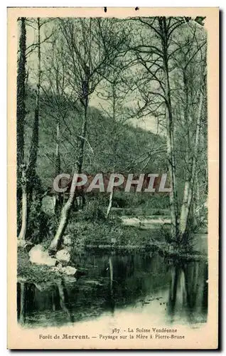 Cartes postales La suisse vendeenne foret de mervent paysage sur la mere a pierre brune