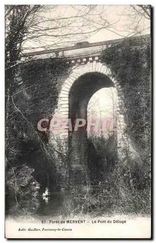 Cartes postales Forer de mervent le pont du deluge