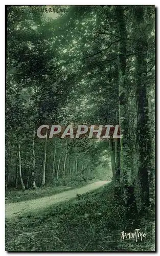 Cartes postales foret de mervent