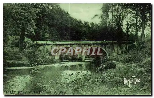 Ansichtskarte AK Foret de vouvant mervent Pont de diet