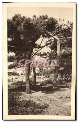 Cartes postales La Corniche des Maures Le Lavandou