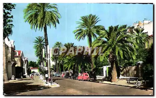 Ansichtskarte AK Hyeres les Palmiers Avenue de Belgique