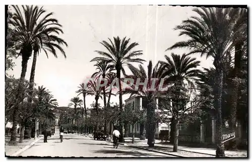 Cartes postales Hyeres les Palmiers Avenue Gambetta