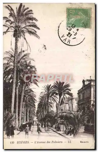 Cartes postales Hyeres l Avenue des Palmiers