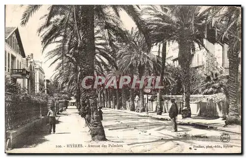 Cartes postales Hyeres Avenue des Palmiers