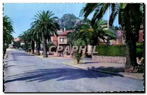 Ansichtskarte AK Hyeres les Palmiers Var Avenue Godillot