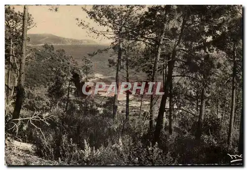 Ansichtskarte AK La Cote D Azur Cavalaire sur Mer Bon Perlo