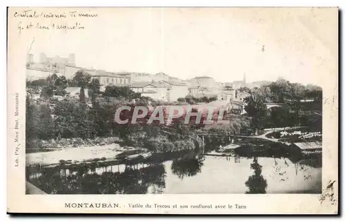 Ansichtskarte AK Montauban Vallee de Tescou et son confluent avee le Tarn
