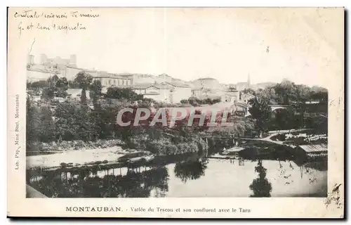 Cartes postales Montauban Vallee de Tescou et son confluent avee le Tarn