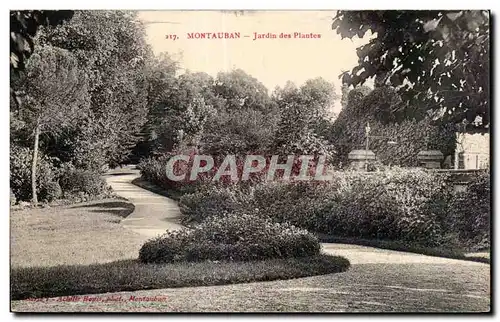 Cartes postales Montauban Jardin des Piantes