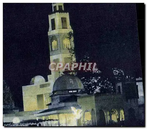 Cartes postales Palais de l Algerie Detail Vue de NUIT