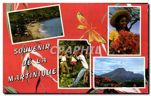 Cartes postales moderne Souvenir De La Martinique