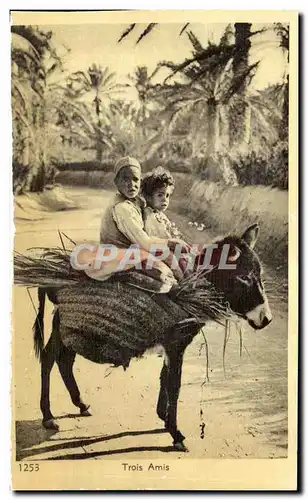 Cartes postales Maroc Trois Amis Ane Donkey