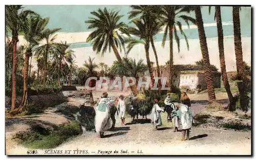 Cartes postales Maroc Scenes et Types Paysages du Sud Ane Donkey