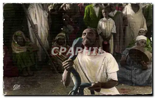 Cartes postales moderne Maroc Scenes Et Types Charmeur de Serpents