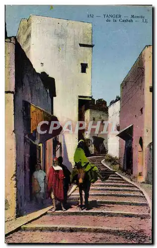 Cartes postales Maroc Tanger Montee de la Casbah Ane Donkey