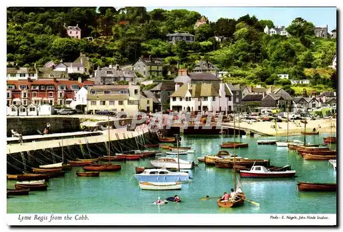 Cartes postales moderne Lyme Regis from the Cobb irlande ireland