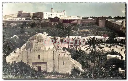 Cartes postales Maroc Safi - La Vallee du Chabah et la Kechia