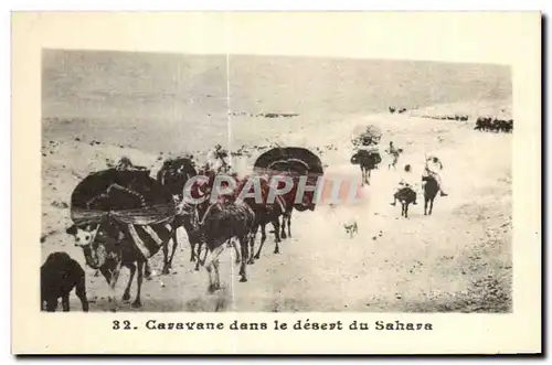 Ansichtskarte AK Maroc Caravane dans le desert du Sahara