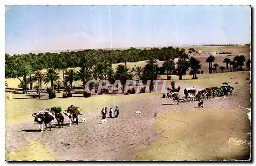 Ansichtskarte AK Maroc Scenes et Types du du Maroc Une Caravane