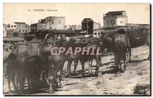 Ansichtskarte AK Maroc Tanger Caravane Chameau Camel