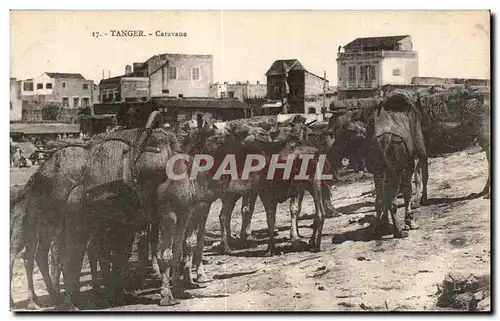 Cartes postales Maroc Tanger Caravane Chameau Camel