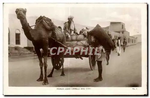 Ansichtskarte AK Maroc Maala Load Camels And Cart Folklore Costume Chameau