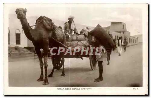 Cartes postales Maroc Maala Load Camels And Cart Folklore Costume Chameau