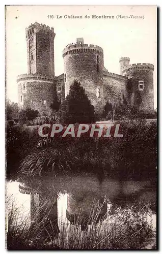 Cartes postales Le Chateau de Montbrun