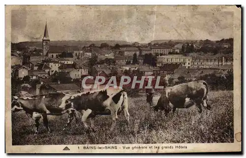 Cartes postales Bains les Bains Vue generale et les grands Hotels Vaches