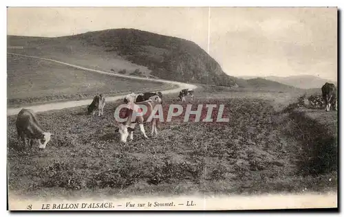 Ansichtskarte AK Le Ballon D Alsace Vue sur le Sommet Vaches