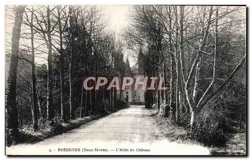 Cartes postales Bressuire (Deux Sevres) L Allee du Chateau