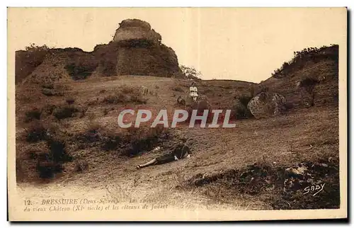 Ansichtskarte AK Bressuire (Deux Sevres) Les du vieux Chateau (XI siecle) et les coteaux de Javst