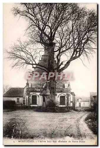 Monflieres - L Arbre huit fois - Ansichtskarte AK