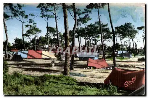 Cartes postales Cayeux (Somme) Campeurs dans le Bois de la Molliere