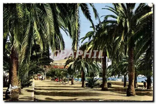 Bandol - Allees Alfred Vivien - Cartes postales