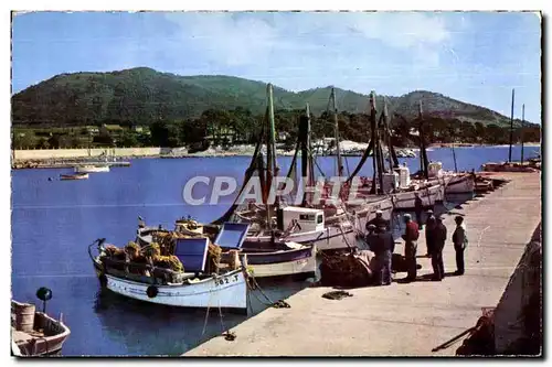 Carqueiranne - Le Port - Cartes postales