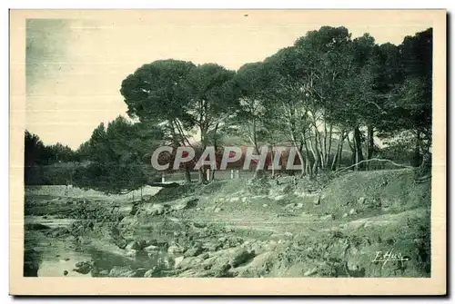 Carqueiranne - Les Pins - Cartes postales