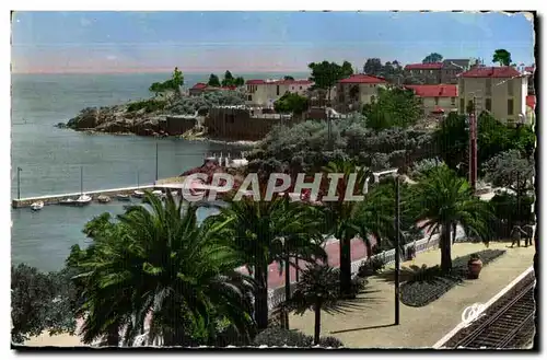 Agay - Le Port et les Villas - Cartes postales moderne