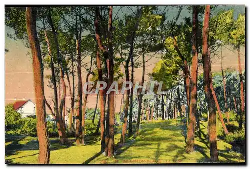 Cartes postales brighton Plane La foret