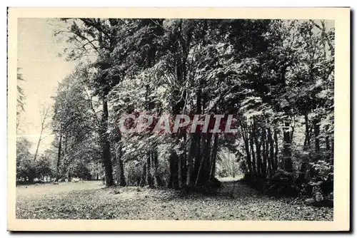 Cartes postales Peronne (Somme)