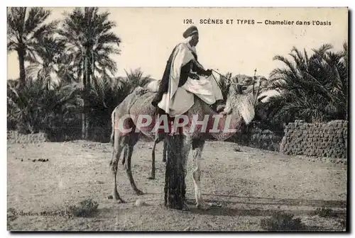 Cartes postales Maroc Scenes Et Types Chamelier dans L Oasis Camel Chameau