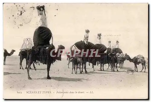 Ansichtskarte AK Maroc Senes Et Types Palanquins daus le desert Chameau Camel