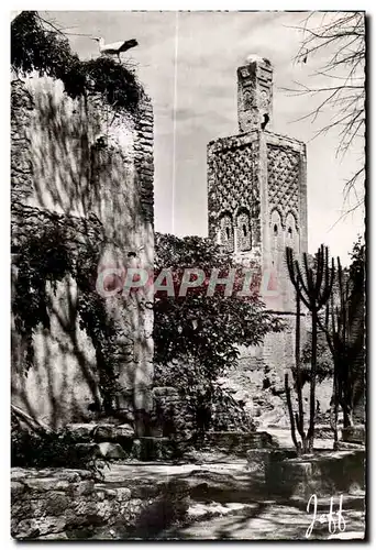 Cartes postales moderne Maroc Rabat Challah le Minaret