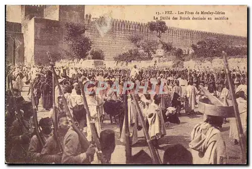 Cartes postales Maroc FEZ Les Fetes de Monlay Idriss Le Defile des boeufs destines au sacrifice