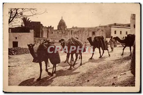 Cartes postales Maroc Une caravane traversant un Village du Sud CAmel Chameau